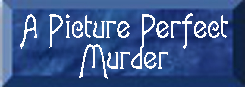 A Picture Perfect Murder